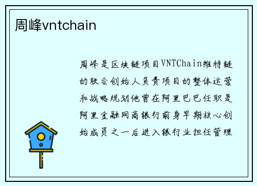周峰vntchain